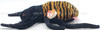 Ty Beanie Buddies Spinner the Spider Plush 1999